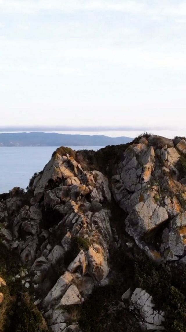Vous hésitez à voyager...
Le voyage peut être une source de bienfaits physique, mental et émotionnel : 
• Réduit le stress 🌿
Voyager permet de faire une pause dans la routine quotidienne en offrant de nouvelles expériences. La découverte de nouveaux endroits, sites, personnes, cultures, réduit les tensions et anxiétés. 
• Augmente l’ouverture d’esprit ✨
Le voyage nous permet d’élargir nos visions, d’avoir de nouveaux horizons nous amenant ainsi à développer une compréhension plus vraie, plus tolérante vis à vis des différences. Une autre culture, des autres modes de vie et perspectives aident à contredire les stéréotypes. 
• Renforce l’estime de soi 🪞
En nous confrontant à nos défis personnels, le voyage nous encourage à sortir de notre zone de confort, nous aide à développer la confiance en soi ainsi que la capacité à prendre des décisions indépendantes. 
• Développe la créativité 🎨
Voyager, c’est être confronté en permanence par de nouvelles expériences, des situations stimulantes, aidant ainsi à développer son côté artistique. Le voyage favorise l’expression des arts sous toutes les formes.
• Améliore les compétences linguistiques 🌏
Le voyage est avant tout fait de rencontre, d’échange et de partage avec autrui. Partir à la découverte de nouvelles populations, de nouvelles cultures nous offre l’occasion d’apprendre de nouvelles langues ou d’améliorer nos compétences actuelles. La communication est le moyen le plus efficace pour favoriser les connaissances interculturelles.
#voyage #voyage2023 #instavoyage #tripagency #bienfaits #roadtrip #trip #travel #corsica #voyageorganisé #corse