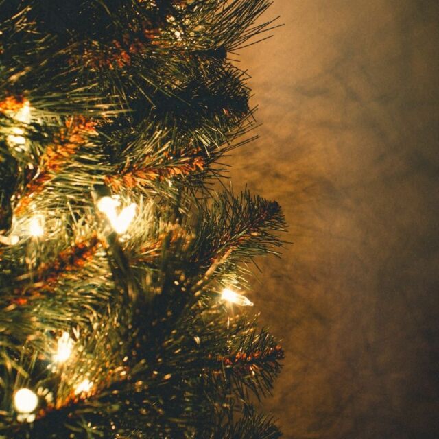 🎄✨ Joyeux Réveillon de Noël à tous ! ✨🎄 Que cette soirée soit emplie de chaleur, d'amour et de moments magiques en compagnie de ceux qui vous sont chers. Que vos cœurs soient comblés de joie et de partage. 🌟🤶🎅
N'oublions pas l'essence même de Noël : l'amour, la paix et le partage.
#RéveillonDeNoël #JoyeuxNoël #NoëlEnFamille #EspritDeNoël #CélébrationDeNoël #FêtesDeFinDAnnée 🎁🍽️🥂